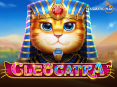 Betebet yeni giriş. Cat casino.94